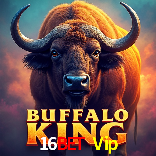 Bonus Features 16Bet Vip